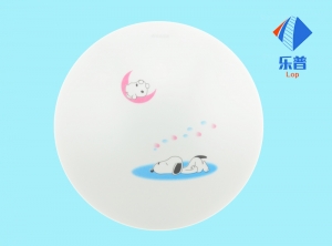 亞（yà）克力吸頂燈罩